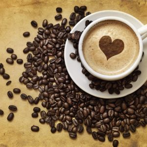 Café Bliss Coffee Grinder