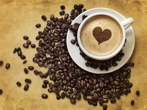 Café Bliss Coffee Grinder